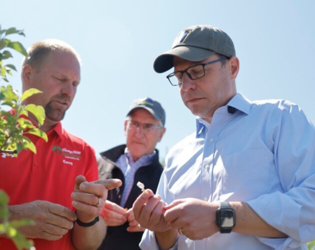 Following 'devastating' crop freeze, state leaders call for federal aid